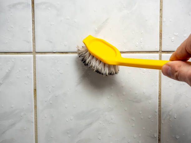 Best Same-Day Mold Removal  in North Wildwood, NJ