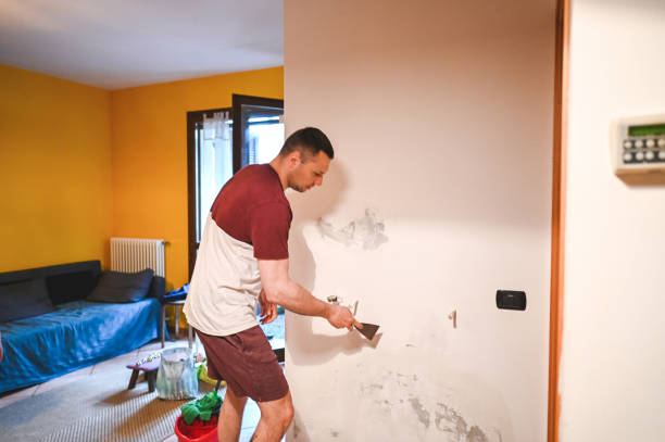 Professional Mold Removal in North Wildwood, NJ